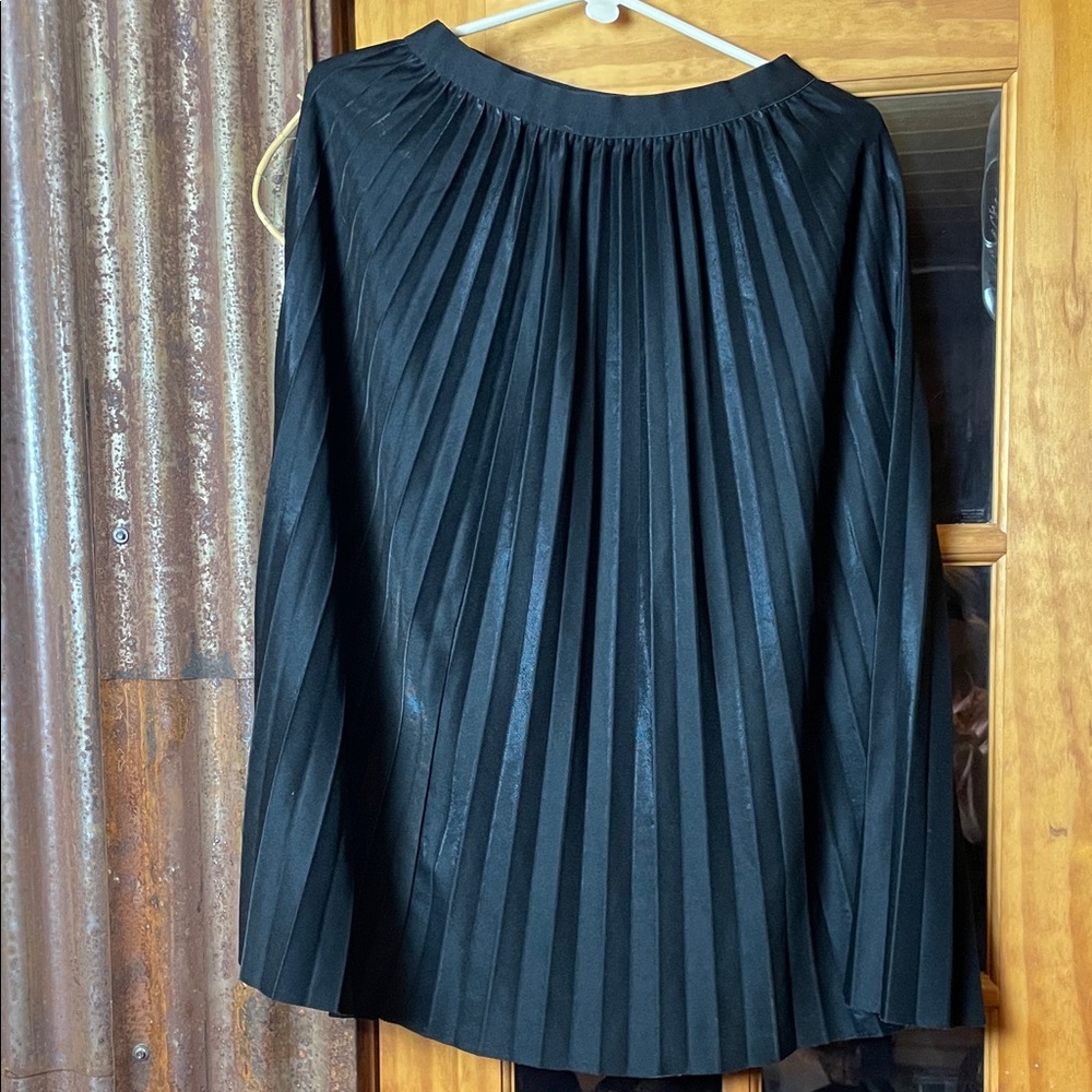Lovely Black Pleated Skirt, size M